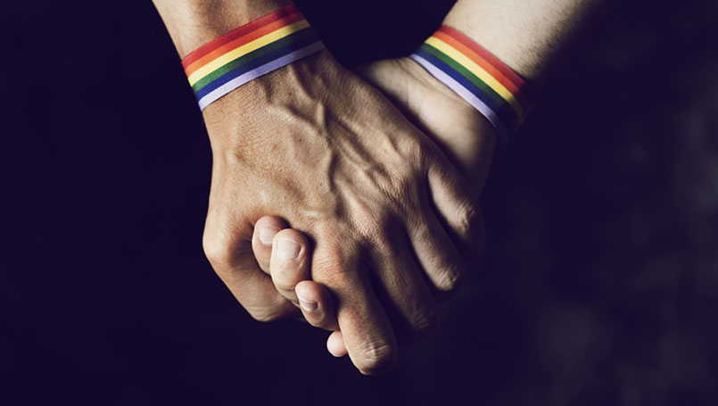 LGBTQIA+ holding hands