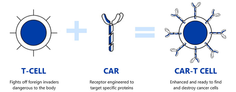 CAR T-cell Graphic