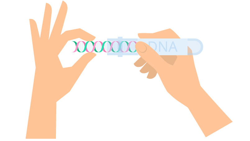 home-genetics-test