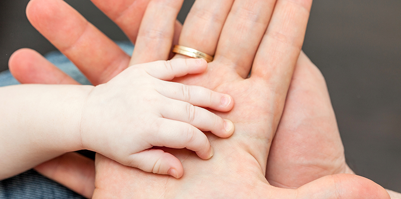 hand of a child with family