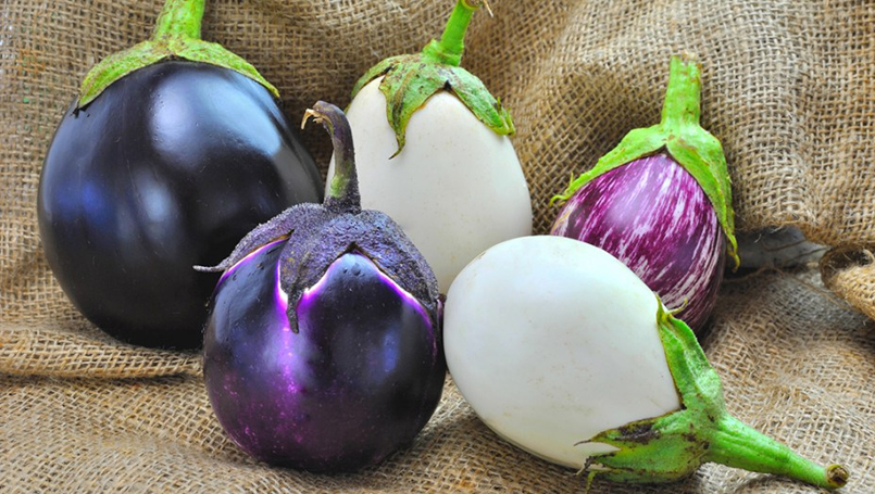 Oven Roasted Eggplant Aubergine Recipetin Eats