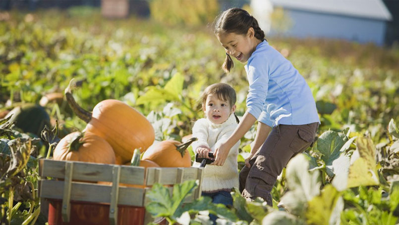 fall-activities