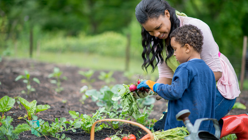 gardening