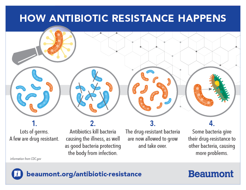 term paper on resistance to antibiotics