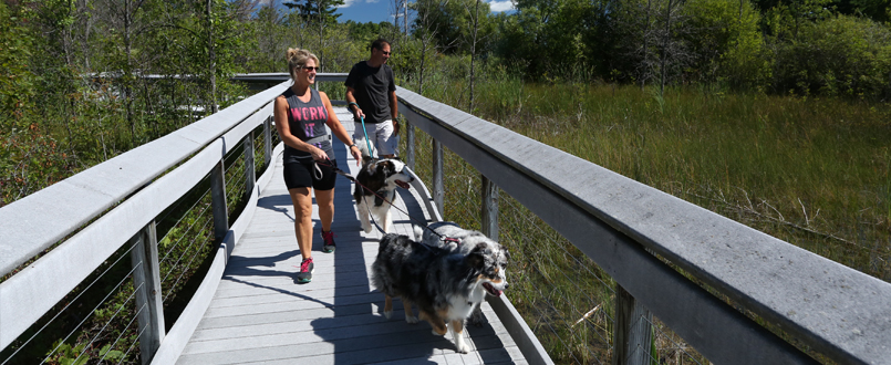 petoskey-outdoors