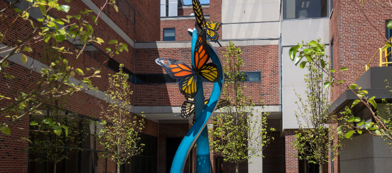 Butterfly tranquility courtyard