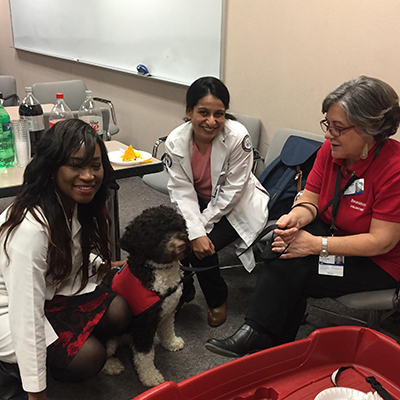 dog therapy